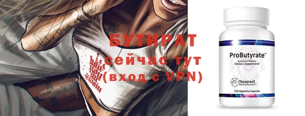 индика Богданович
