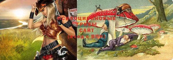 индика Богданович