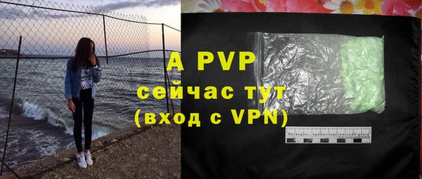 индика Богданович