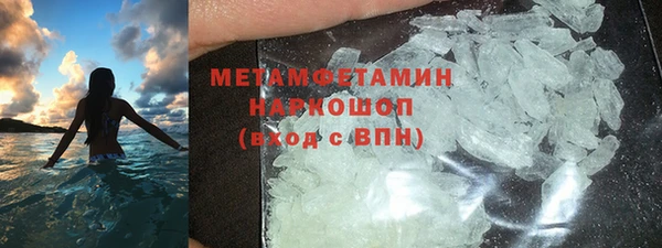 индика Богданович